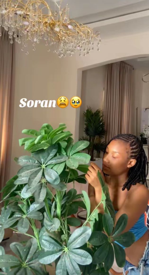 Sofia in Lekki, Lagos, Nigeria, Nigeria — photo 3 of 5